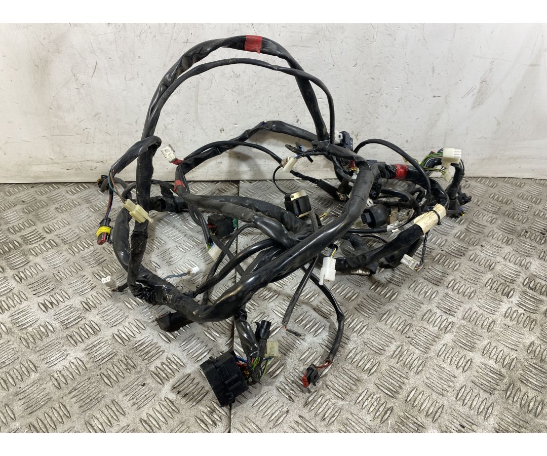 Cablaggio Impianto Elettrico Aprilia Scarabeo 500 dal 2007 al 2012  1752486862748