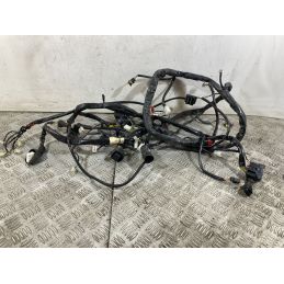 Cablaggio Impianto Elettrico Aprilia Scarabeo 500 dal 2007 al 2012  1752486862748