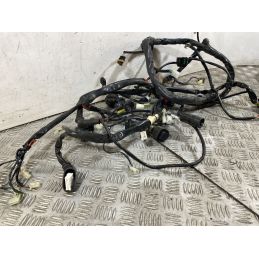 Cablaggio Impianto Elettrico Aprilia Scarabeo 500 dal 2007 al 2012  1752486862748