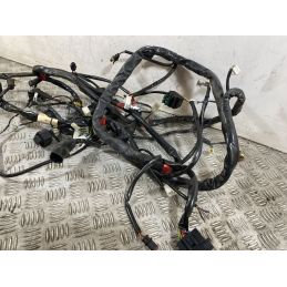Cablaggio Impianto Elettrico Aprilia Scarabeo 500 dal 2007 al 2012  1752486862748
