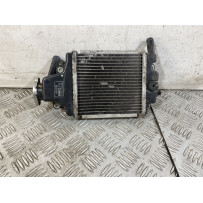 Radiatore Honda SH 125 / 150 Dal 2013 al 2016  1751529926126