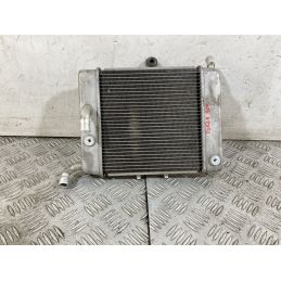 Radiatore Honda Forza 300 Dal 2013 Al 2017  1752574883303