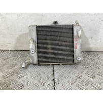 Radiatore Honda Forza 300 Dal 2013 Al 2017  1752574883303