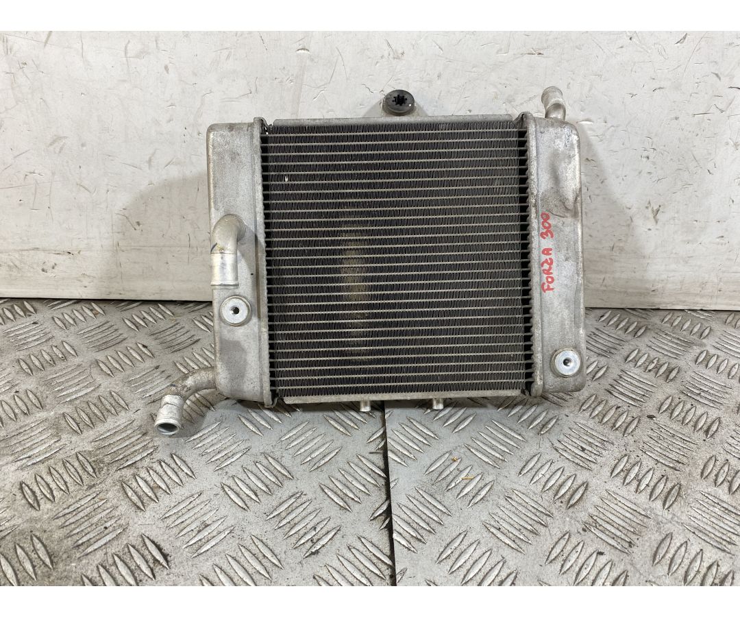Radiatore Honda Forza 300 Dal 2013 Al 2017  1752574883303