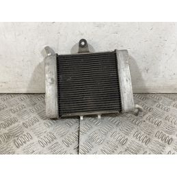 Radiatore Honda Forza 300 Dal 2013 Al 2017  1752574883303