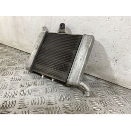 Radiatore Honda Forza 300 Dal 2013 Al 2017  1752574883303