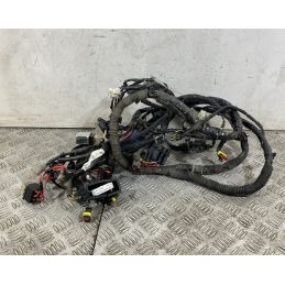 Cablaggio Impianto Elettrico Piaggio Liberty ABS 125 / 150 Dal 2018 al 2022 COD 1D001031-05  1752758920091