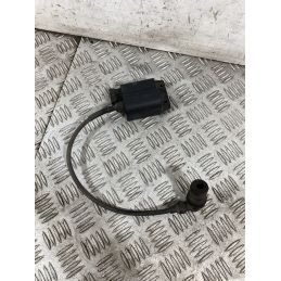 Bobina Centralina Accensione Piaggio Liberty 50 4T dal 2004 al 2016  1753170255327