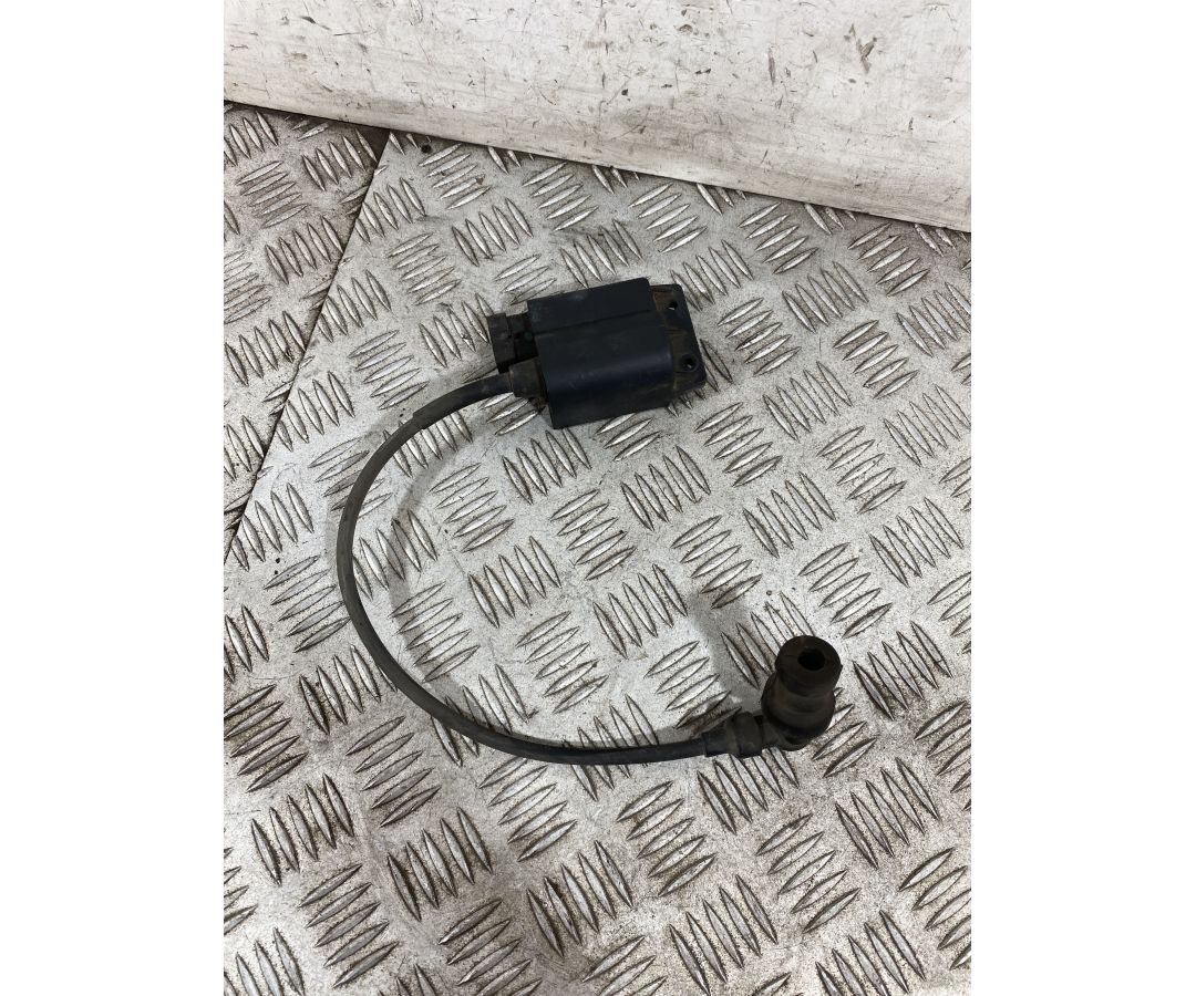 Bobina Centralina Accensione Piaggio Liberty 50 4T dal 2004 al 2016  1753170255327