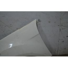 Parafango Anteriore SX Ford Ecosport Dal 2014 al 2018 Cod 1793621  1753365006086