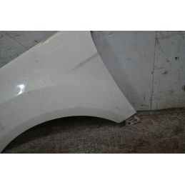 Parafango Anteriore SX Ford Ecosport Dal 2014 al 2018 Cod 1793621  1753365006086