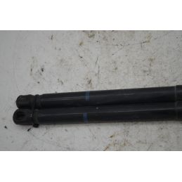 Pistoncini Portellone Bagagliaio Audi A6 C6 Dal 2004 al 2012 Cod 4F5827552F01S  1753881320437