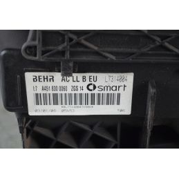 Impianto Stufa di Riscaldamento Smart ForTwo W451 Dal 2007 al 2015 Cod A4518300060  1754040759174