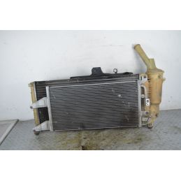 Radiatore Acqua Fiat Punto Dal 1999 al 2003 Cod 08042035  1754050704652