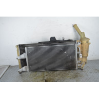 Radiatore Acqua Fiat Punto Dal 1999 al 2003 Cod 08042035  1754050704652