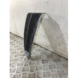 Carena Scudetto Anteriore Piaggio Liberty 125 dal 2004 al 2016  1754389094219