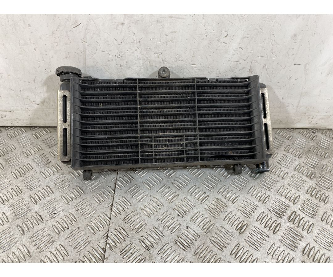 Radiatore Honda Hornet 600 Dal 2005 al 2006  1754403496326