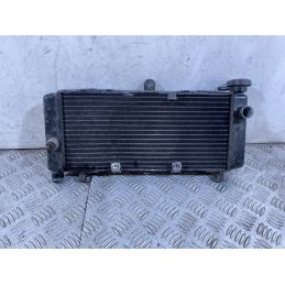 Radiatore Honda Hornet 600 Dal 2005 al 2006  1754403496326