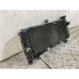 Radiatore Honda Hornet 600 Dal 2005 al 2006  1754403496326