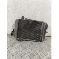 Radiatore Honda SH 300 dal 2011 al 2013  1754403919900
