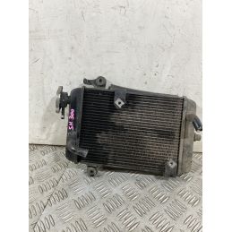 Radiatore Honda SH 300 dal 2011 al 2013  1754403919900