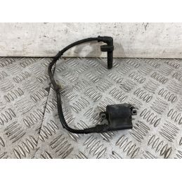Bobina Accensione Honda SH 300 dal 2011 al 2013  1754404762802