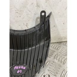 Carena Scudetto Anteriore Kymco People GT 300 Dal 2010 al 2017  1754405610829