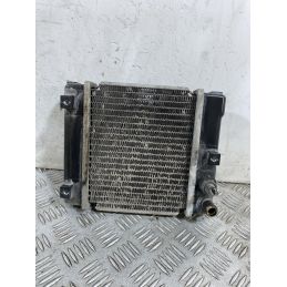 Radiatore Kymco People GT 300 Dal 2010 al 2017 COD U05121-10000  1754467896612