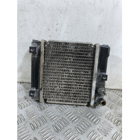 Radiatore Kymco People GT 300 Dal 2010 al 2017 COD U05121-10000  1754467896612