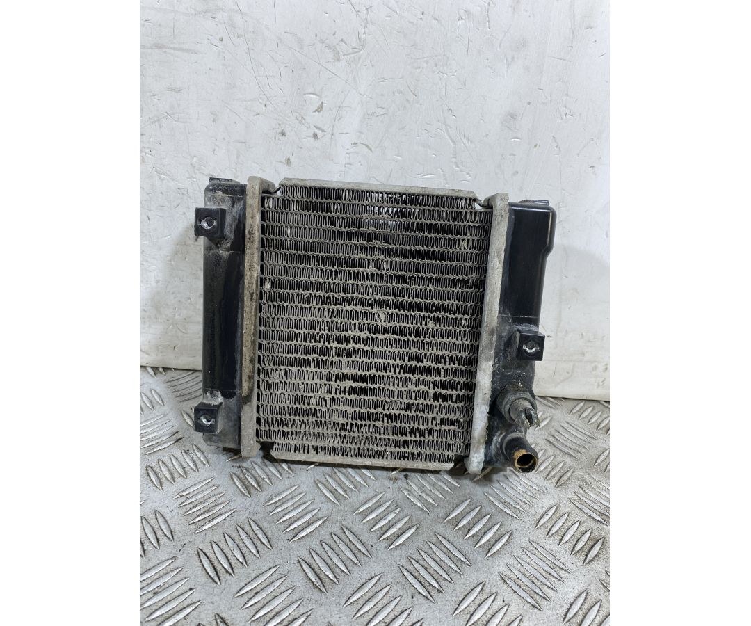 Radiatore Kymco People GT 300 Dal 2010 al 2017 COD U05121-10000  1754467896612
