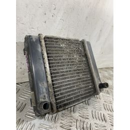 Radiatore Kymco People GT 300 Dal 2010 al 2017 COD U05121-10000  1754467896612