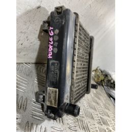 Radiatore Kymco People GT 300 Dal 2010 al 2017 COD U05121-10000  1754467896612