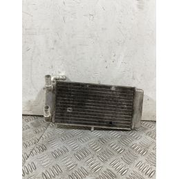 Radiatore Yamaha X-City Xcity 250 dal 2006 al 2016  1754469608428