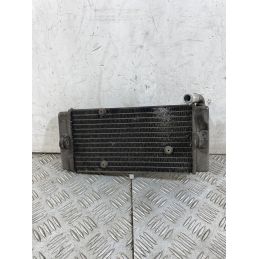 Radiatore Yamaha X-Max XMax 250 IE Dal 2010 al 2013  1754470296317