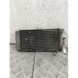 Radiatore Yamaha X-Max XMax 250 IE Dal 2010 al 2013  1754470296317