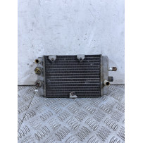 Radiatore Yamaha XC 300 Versity 300 Dal 2003 al 2006  1754470958406
