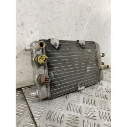 Radiatore Yamaha XC 300 Versity 300 Dal 2003 al 2006  1754470958406