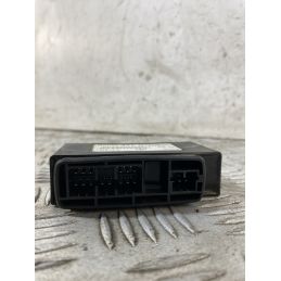 Centralina CDI Piaggio Liberty 125 / 150 RST Dal 2003 al 2013 COD CM078309  1754471323418