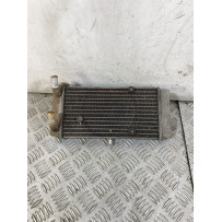 Radiatore Yamaha X-Max XMax 250 IE Dal 2010 al 2013  1754472132149