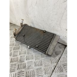 Radiatore Yamaha X-Max XMax 250 IE Dal 2010 al 2013  1754472132149