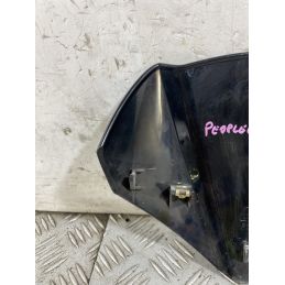 Cupolino Kymco People GT 300 Dal 2010 al 2017  1754473149023