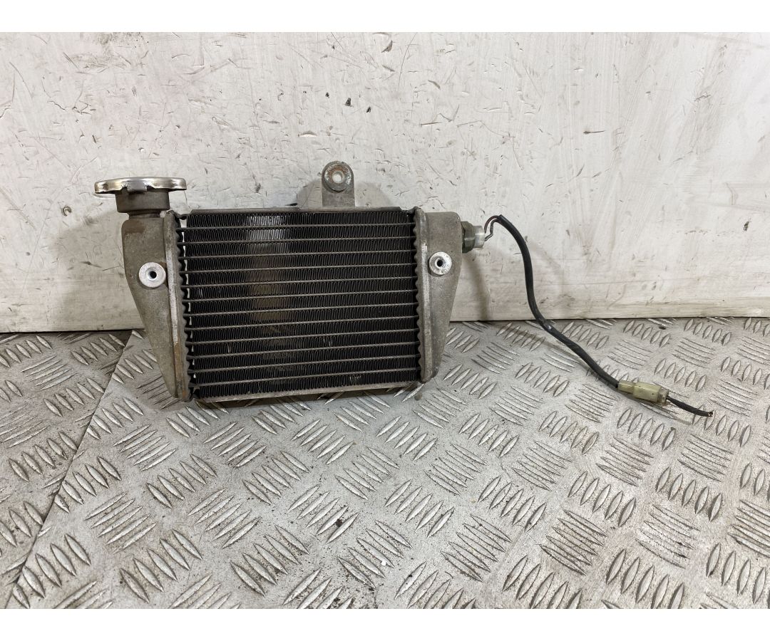 Radiatore Suzuki Sixteen 125 / 150 dal 2007 al 2014  1754663949914
