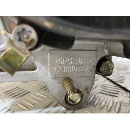 Blocco Motore Peugeot Tweet 50 Dal 2021 Al 2025 Cod XS1P37QMA Num 23005733 KM 3646  1754923500541