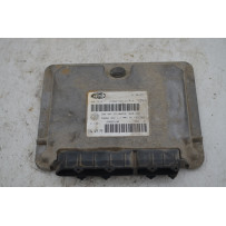Centralina ECU Fiat Panda Dal 1986 al 2003 Cod 46817813  1755608040109