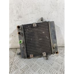 Radiatore Honda Foresight 250 dal 1998 al 2004  1756715916189