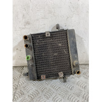 Radiatore Honda Foresight 250 dal 1998 al 2004  1756715916189