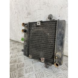 Radiatore Honda Foresight 250 dal 1998 al 2004  1756715916189