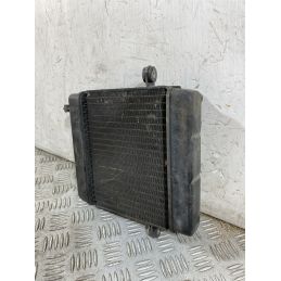 Radiatore Honda Foresight 250 dal 1998 al 2004  1756715916189