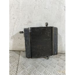 Radiatore Honda Foresight 250 dal 1998 al 2004  1756715916189