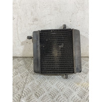 Radiatore Honda Foresight 250 dal 1998 al 2004  1756719607236